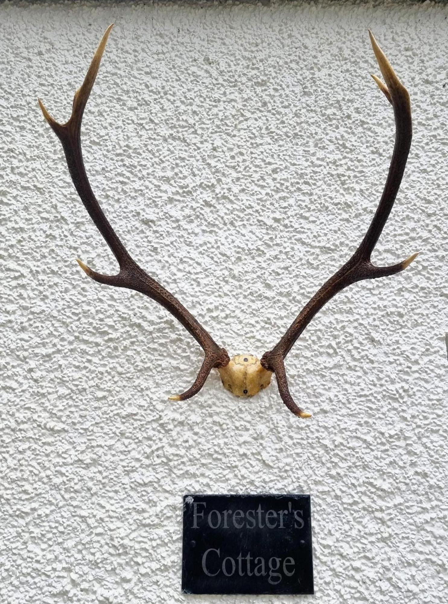 Armadale Castle Lodges Ardvasar  Esterno foto